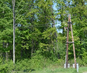 Strommast vor Wald