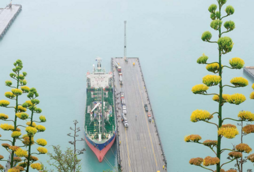 Frachter im Hafen aus der Vogelperspektive mit Blumen im Vordergrund