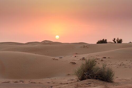 Wüste, Landschaft, Sand